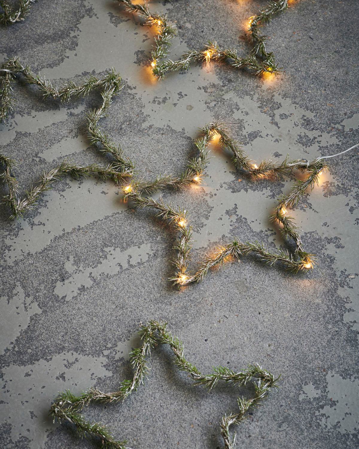 Wreath, Star, Nature