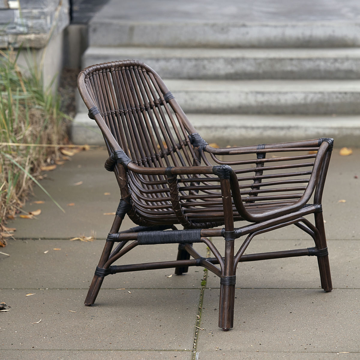 Lounge chair, Colony, Nature