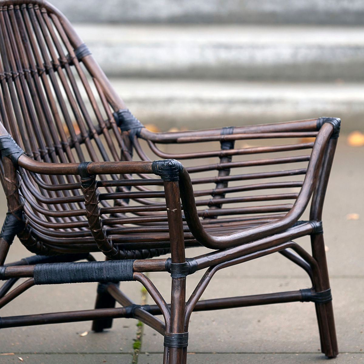 Lounge chair, Colony, Nature