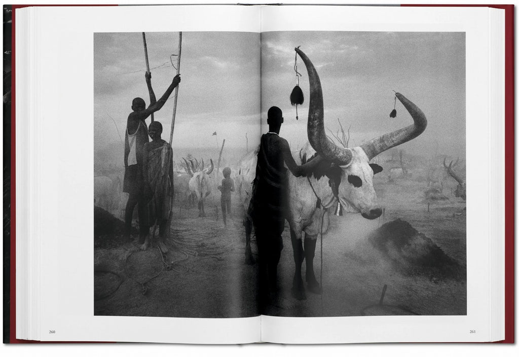 Sebastião Salgado. Genesis
