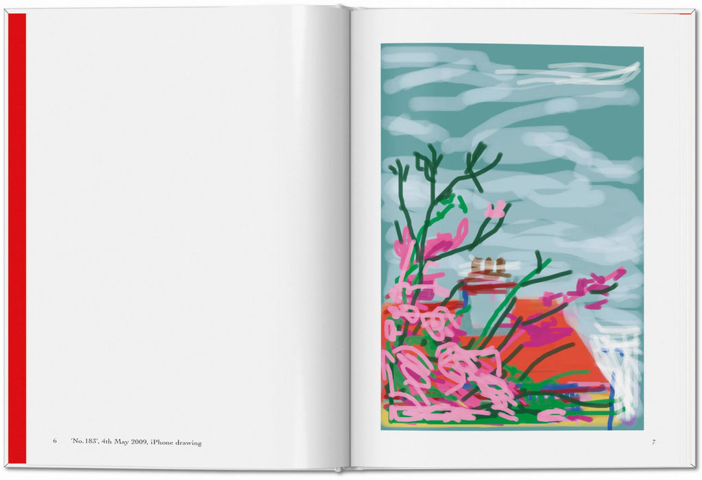 David Hockney. My Window