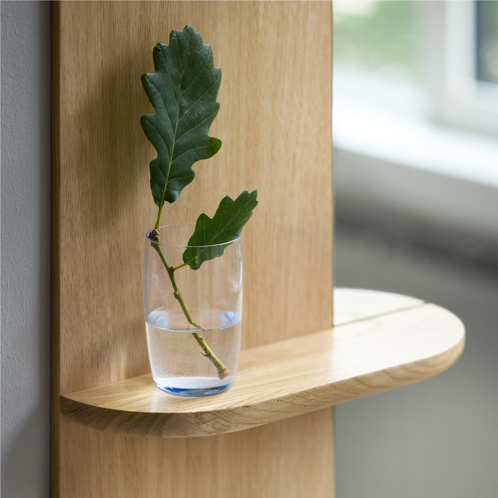 Mirror With A Shelf