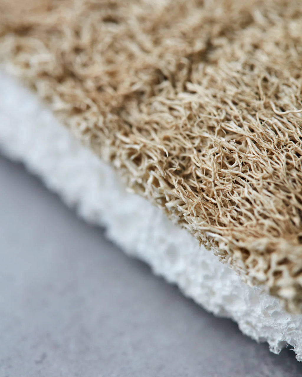 Meraki, Set of 2 Natural Cleaning Sponge