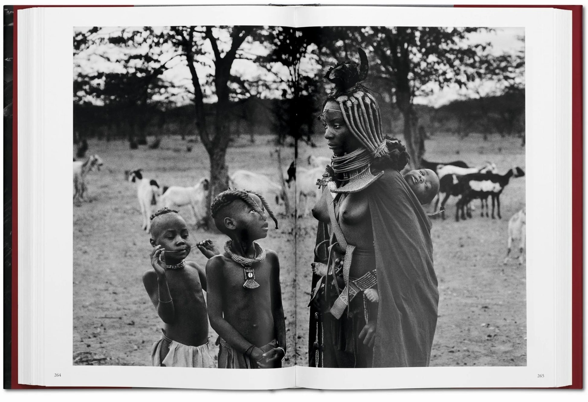 Sebastião Salgado. Genesis