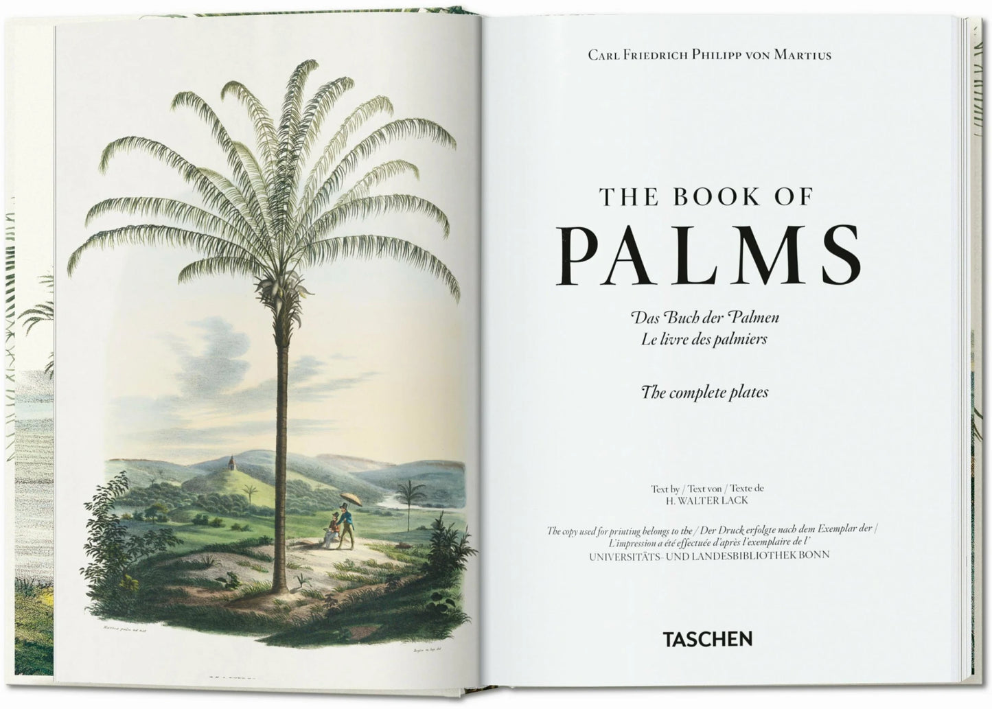 Martius - The Book of Palms - 45th Ed.