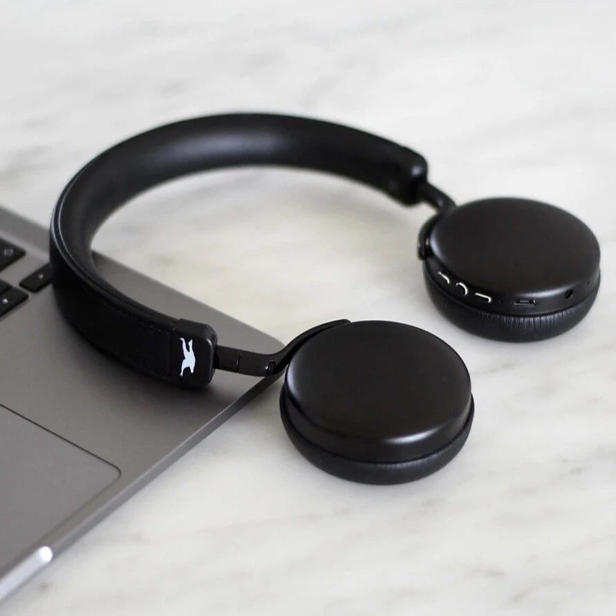 Lemus EarBuds