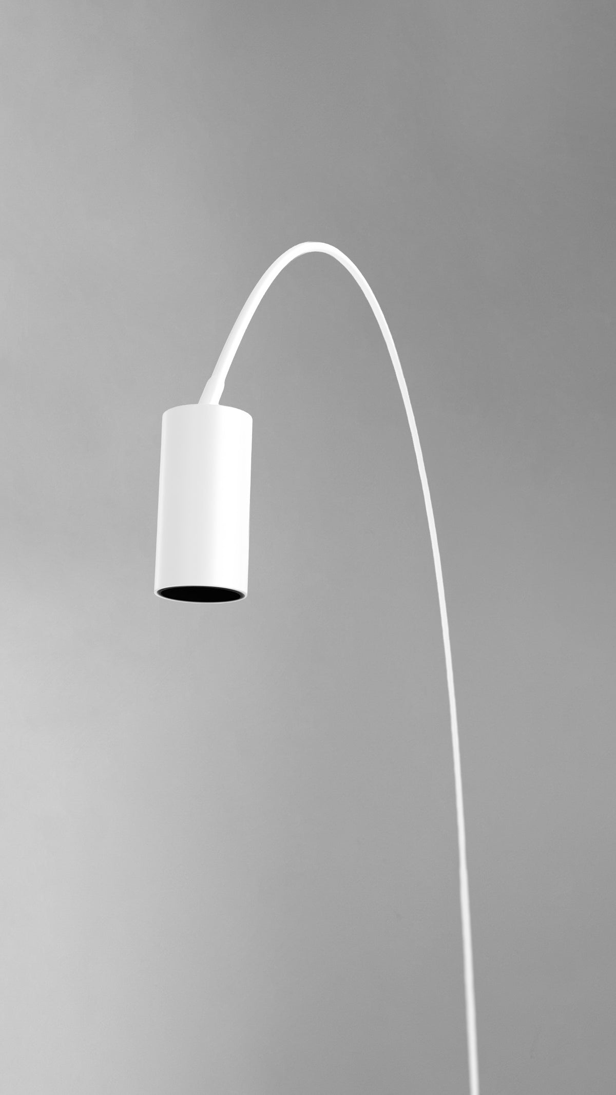Fox | Floor Lamp