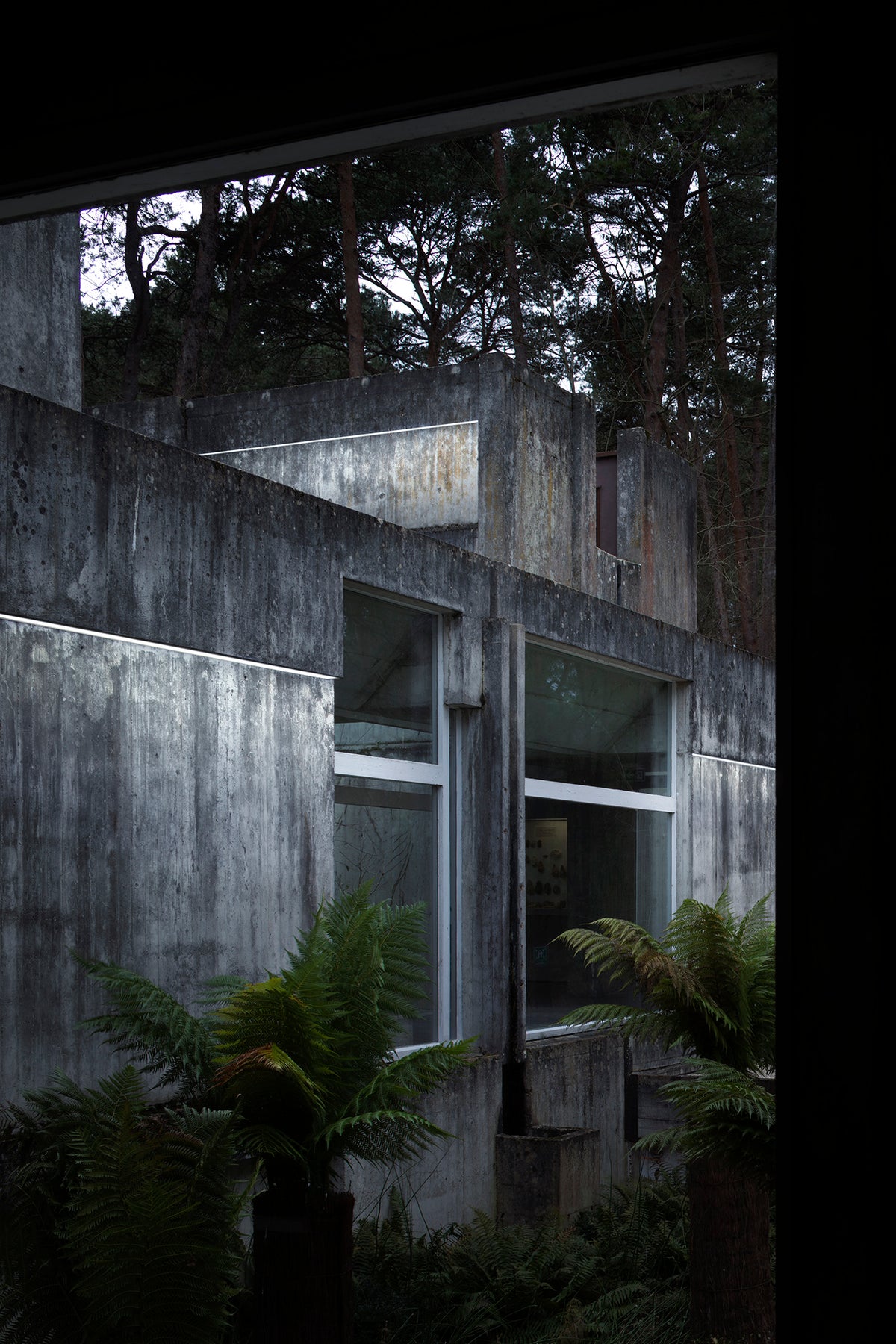 Riga Opal | Flexible Linear Light