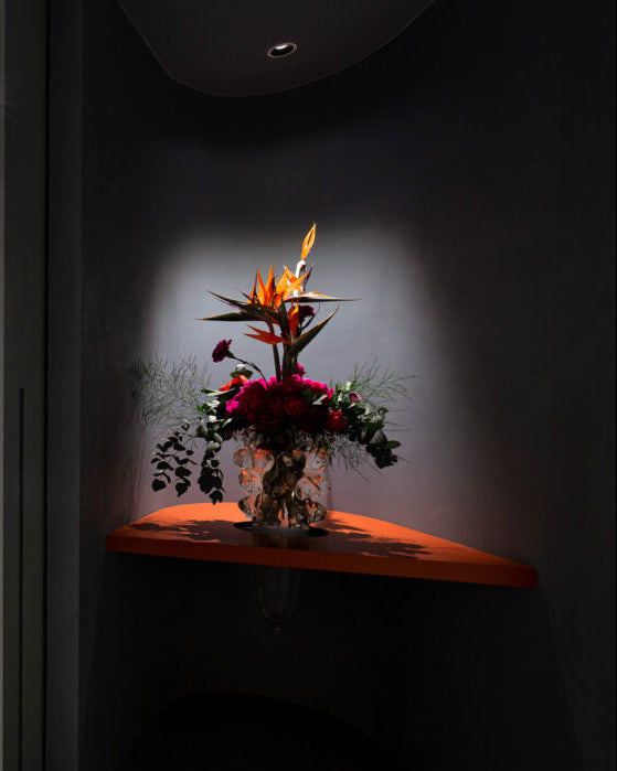 Salina Recessed Downlight