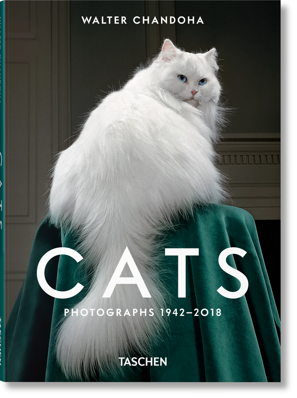 Walter Chandoha. Cats. Photographs 1942-2018