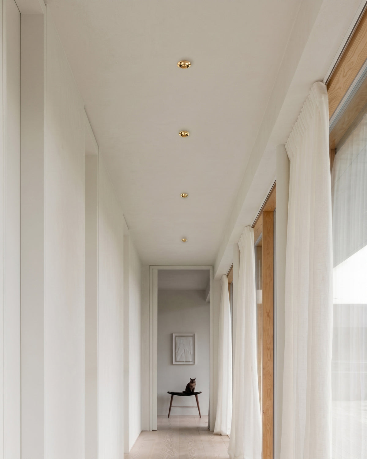 DONYA Downlight