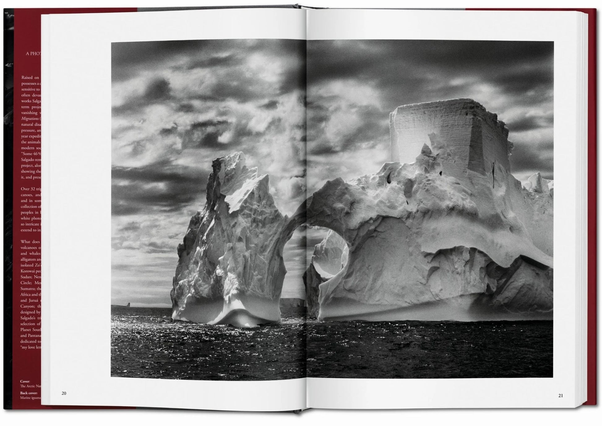 Sebastião Salgado. Genesis