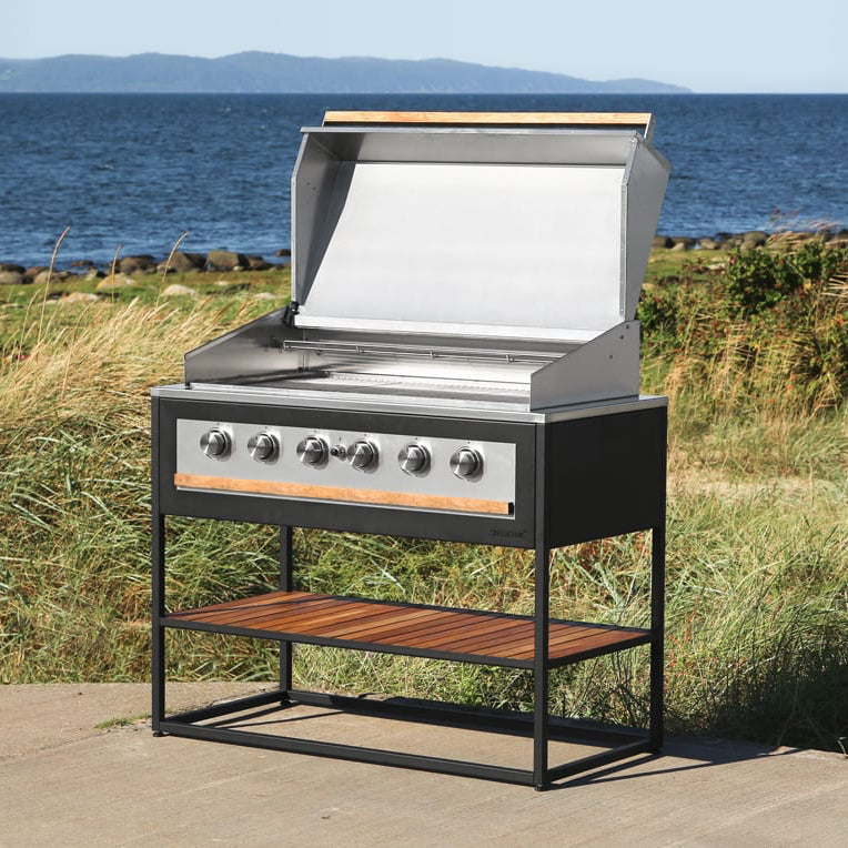 Free-standing Gas grill