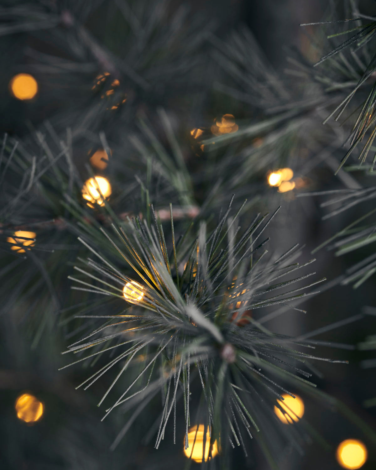 Christmas tree, W. 150 LED lights, Nature