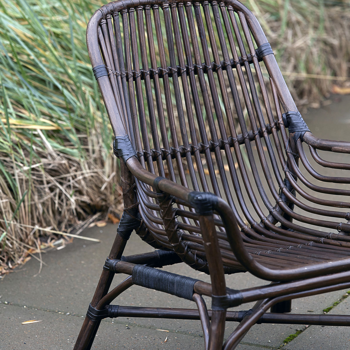 Lounge chair, Colony, Nature